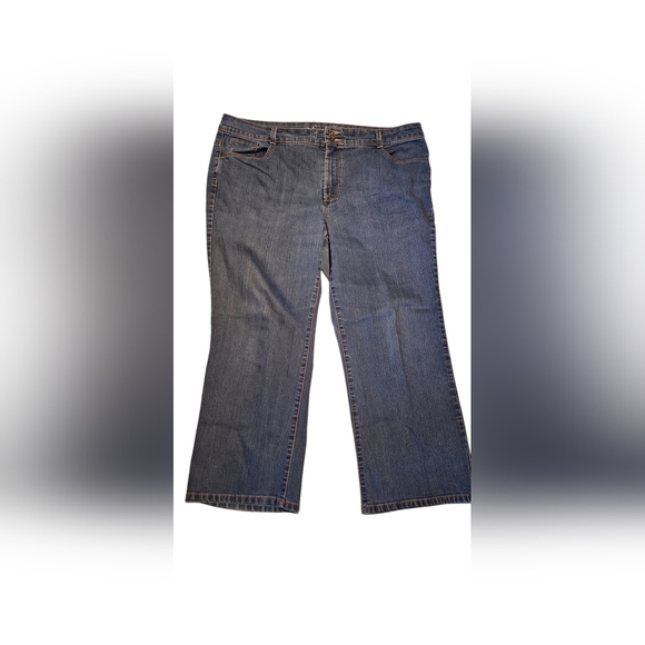 Style & Co Denim Jeans Sz 20W Wide/Boot Cut Double Button Plus Size - Picture 1 of 5